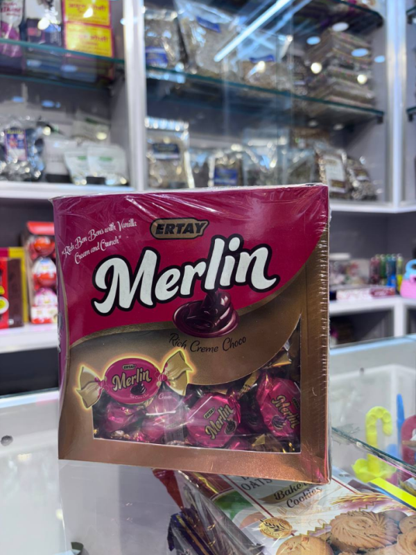 Ertay Merlin